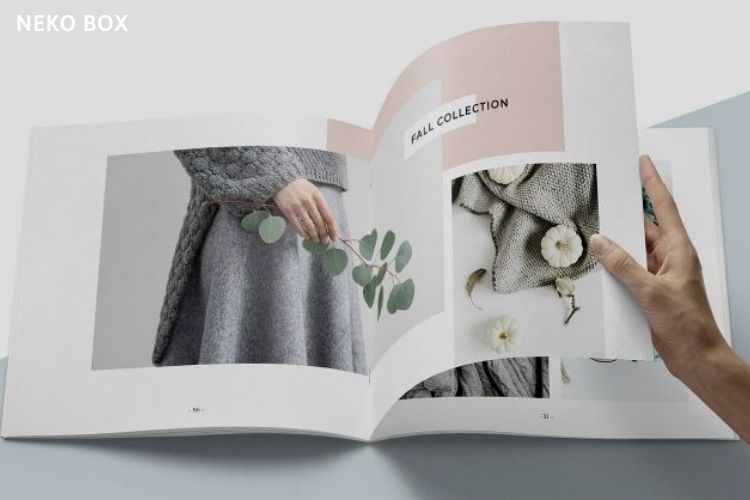 Mẫu Brochure ấn tượng do Neko Box thiết kế và in ấn